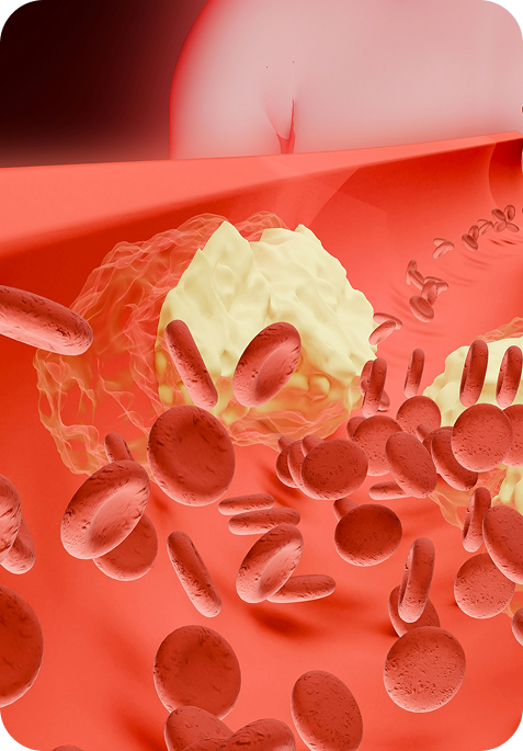 Red Blood Cells Image