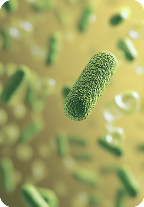 Tetracte Image